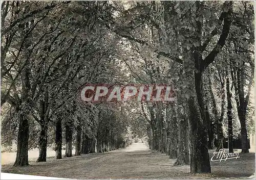 Cartes postales moderne Armeau Yonne Chateau de Palteau Colonie de Vacances des Trefileries et Laminoirs du Havre