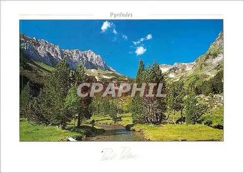 Cartes postales moderne Pyrenees Invite a la randonnee