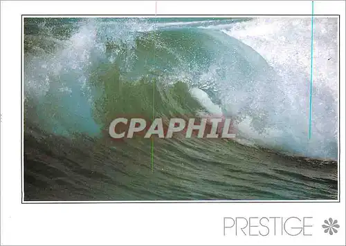 Cartes postales moderne Prestige