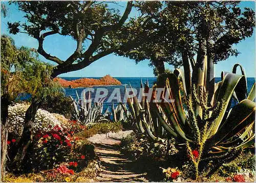 Cartes postales moderne Reflets de la Cote d'Azur Harmonie de couleurs et de lumiere