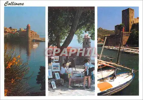 Cartes postales moderne Collioure Cite des Peintres