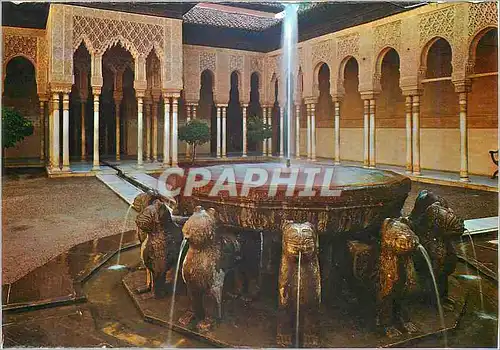 Cartes postales moderne Granada Alhambra Cour des Lions