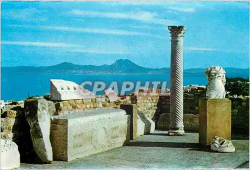 Cartes postales moderne Carthage Antiquarium