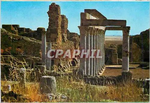 Cartes postales moderne Tuburbo Majus Le portique des Petronii