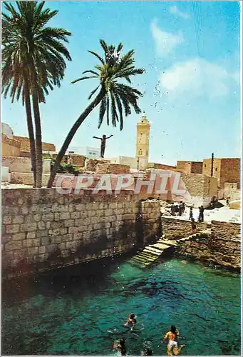 Cartes postales moderne Gafsa La piscine romaine