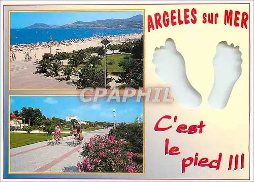 Cartes postales moderne Argeles sur Mer Pyrenees Orientales