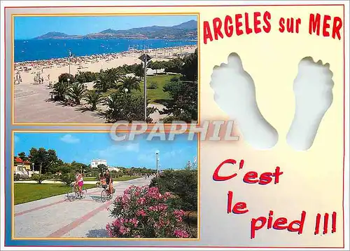 Moderne Karte Argeles sur Mer Pyrenees Orientales