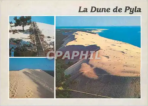 Cartes postales moderne Pyla sur Mer Gironde