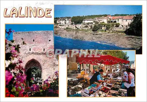 Cartes postales moderne Lalinde Dordogne