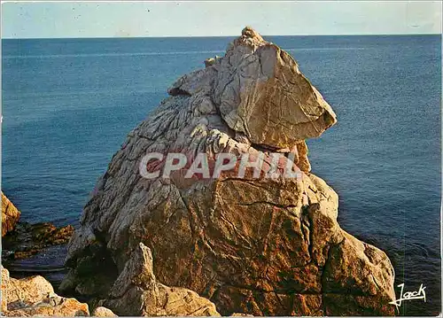 Cartes postales moderne Couleurs de Bretagne Le rocher de l'Ours