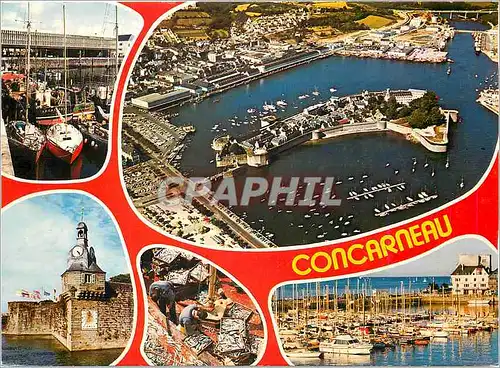 Cartes postales moderne Concarneau La Criee la ville close la tour de l'horloge et le port de plaisance