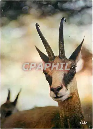 Moderne Karte La Chamois