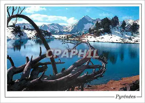 Cartes postales moderne Hautes Pyrenees