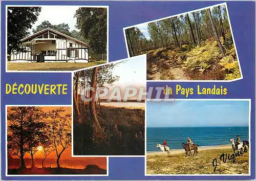 Cartes postales moderne Visage des Landes Maison Landaise Crepuscule sur un etang Chemin en foret