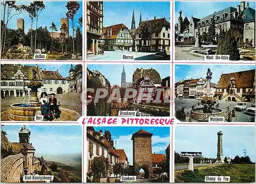 Cartes postales moderne L'Alsace Pittoresque Andlau Obernai Mont Ste Odile Barr Strasbourg Molsheim