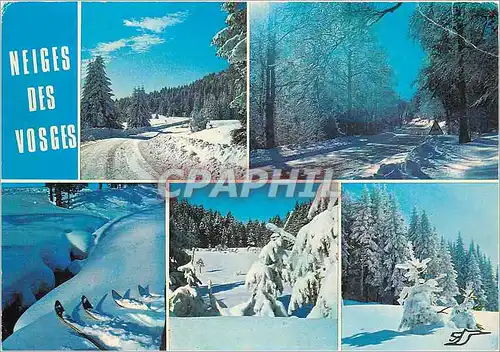 Cartes postales moderne Hiver dans les Vosges