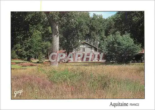 Moderne Karte Paysages des Landes Maison Landaise
