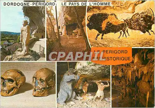 Cartes postales moderne Le Perigord Prehistorique Les Eyzies La Madeleine Lascaux Musee des Eyzies