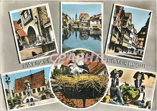 Cartes postales moderne L'Alsace Pittoresque Riquewihr Fontaine et porte du Dolder Strasbourg La Cathedrale Maison Alsac