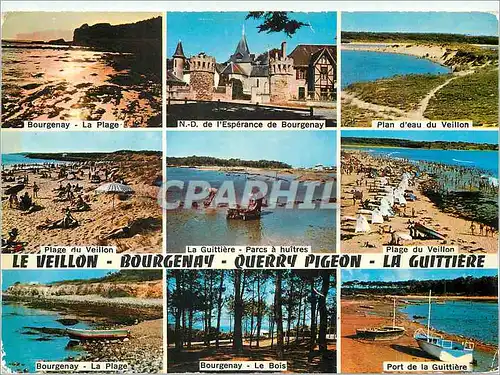 Cartes postales moderne Le Veillon Bourgenay Querry Pigeon La Guittiere Vendee