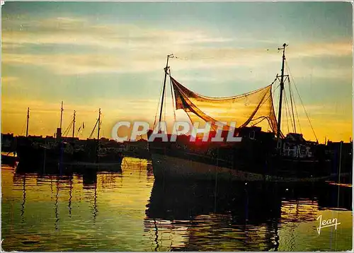 Cartes postales moderne Coucher de soleil Le port rassemble la flottille