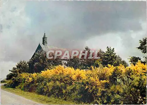 Cartes postales moderne Chapelle fleurie en Argoat