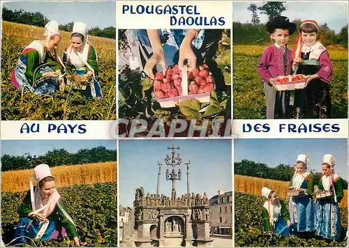 Cartes postales moderne Plougastel Daoulas au Pays des Fraises