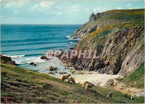 Cartes postales moderne Cote Bretonne