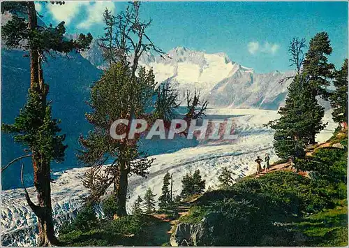 Cartes postales moderne Valais Aletsch Glacier