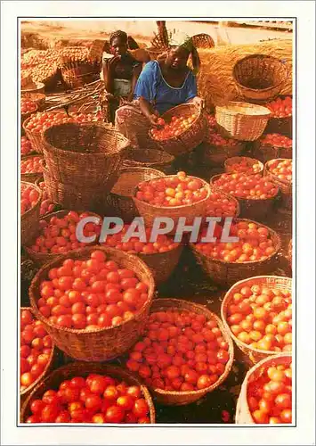 Cartes postales moderne Bobo Dioulasso Le Marche