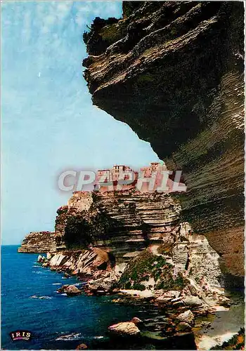 Cartes postales moderne Bonifacio et ses falaises