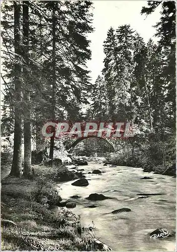 Cartes postales moderne Gerardmer Station Climatique La Vologne au Pont des Fees