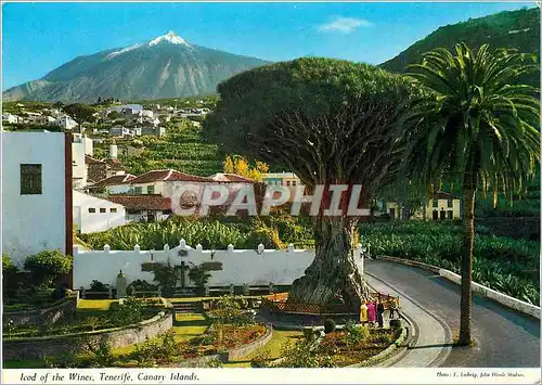 Moderne Karte Icod of the Wines Tenerife Canary Islands