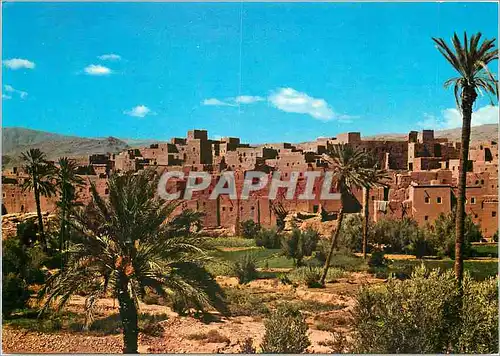 Cartes postales moderne Le Maroc Pittoresque Tinerhir