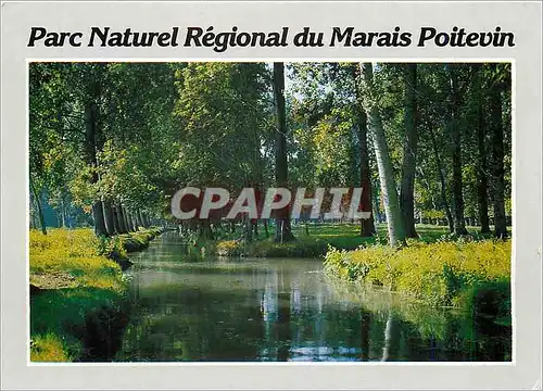 Moderne Karte Parc Naturel Regional du Marais Poitevin