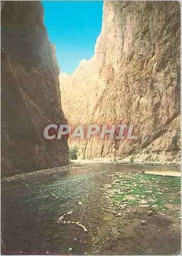 Cartes postales moderne Tinghir Gorge Todra