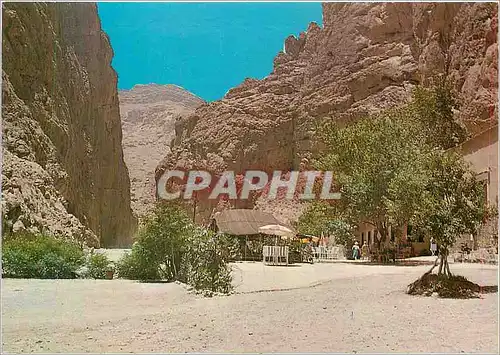 Cartes postales moderne Tenerhir Les Gorges