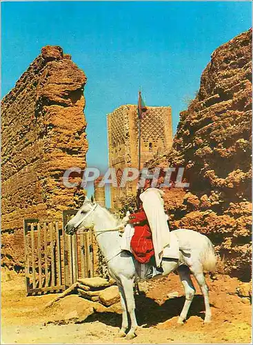 Cartes postales moderne Rabat Le Mausolee Mohammed V Tour Hassan