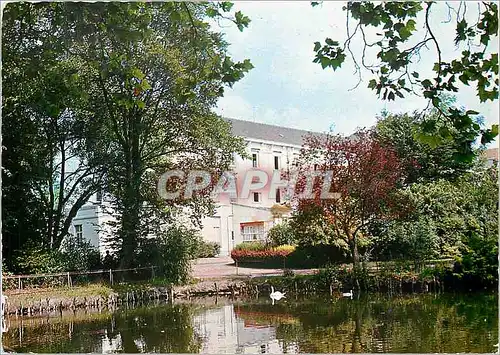 Cartes postales moderne Hotel des Thermes de St Amand les Eaux Nord Vue sur l'Etang aux Cygues