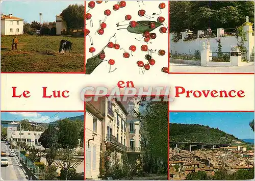 Cartes postales moderne Le Luc en Provence