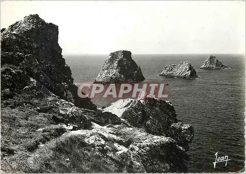 Cartes postales moderne Camaret Finistere Les Tas de pois