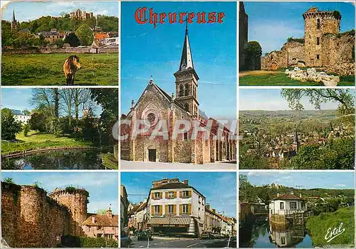 Cartes postales moderne Chevreuse Yvelines Vue generale au fond les ruines de la Madeleine L'Eglise Saint Martin La tour