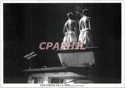 Cartes postales moderne Les Chiens de la Mer Opera pauvre de Denis Chabroullet