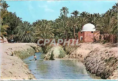 Moderne Karte Tozeur Riviere et marabout dans l'oasis