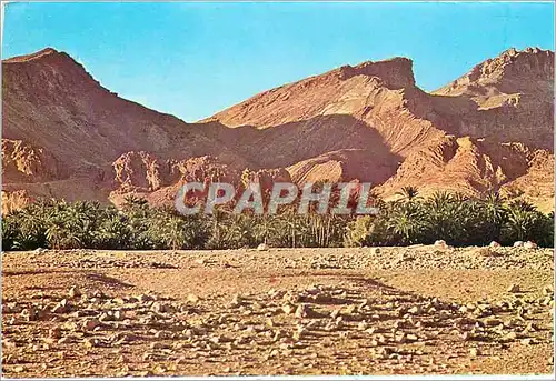 Cartes postales moderne Tunisie Paysage du sud