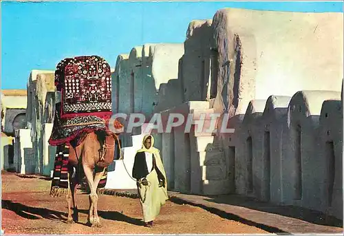 Cartes postales moderne Ksar Dabbab Village Touristique