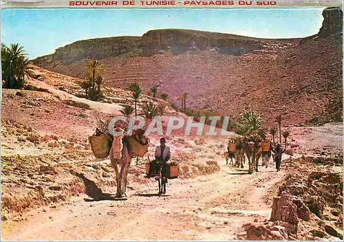 Cartes postales moderne Tunisie Piste dans le Sud