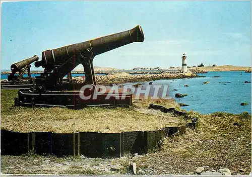 Cartes postales moderne Saint Pierre La pointe aux Canons