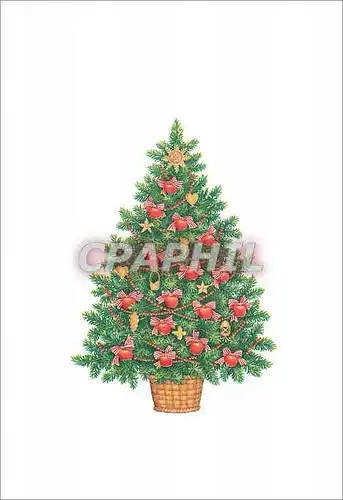 Cartes postales moderne Sapin