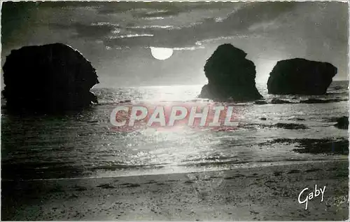 Cartes postales moderne Sion sur l'Ocean Vendee Les Pinneaux au Crepuscule